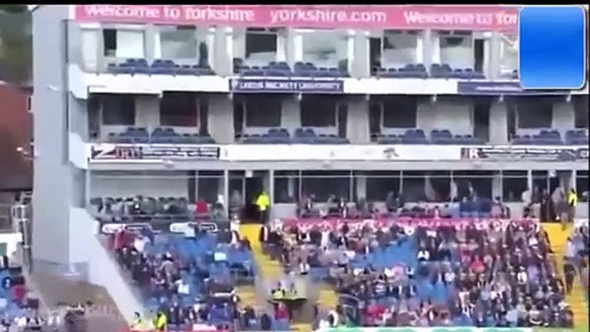 amazing cricket shots