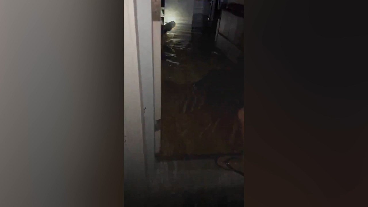 Man discovers massive crocodile in his home after Hurricane Milton's flooding