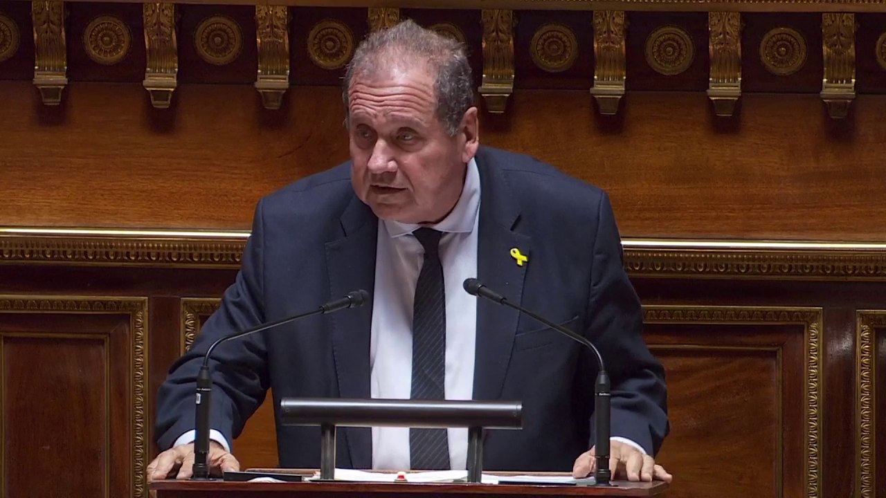 Mixité scolaire : "Les élèves ne seront plus perçus selon leur mérite", dénonce Max Brisson