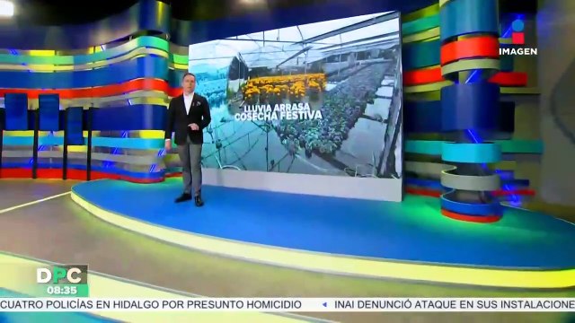 Los invernaderos de nochebuena continúan en riesgo luego de las intensas lluvias