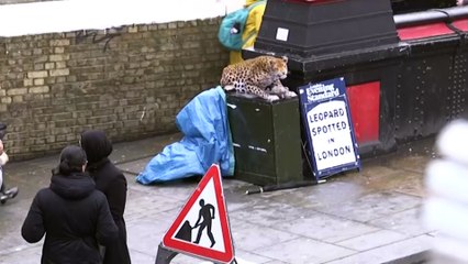 LEOPARD PRANK! - In Camden Town!