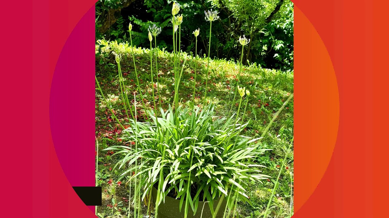 MAISON DE STARS Mercotte fière de sa bâtisse de 600m2 sur trois niveaux près de Chambéry : " Il y a de quoi s'y perdre"