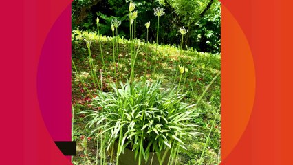 MAISON DE STARS Mercotte fière de sa bâtisse de 600m2 sur trois niveaux près de Chambéry : " Il y a de quoi s'y perdre"