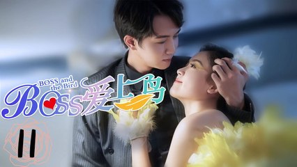 Boss and the Bird EP11 | BOSS爱上鸟