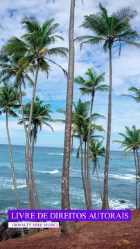 ✅Música ambiente alegre trazendo alegria, paz e bem-estar #Shorts