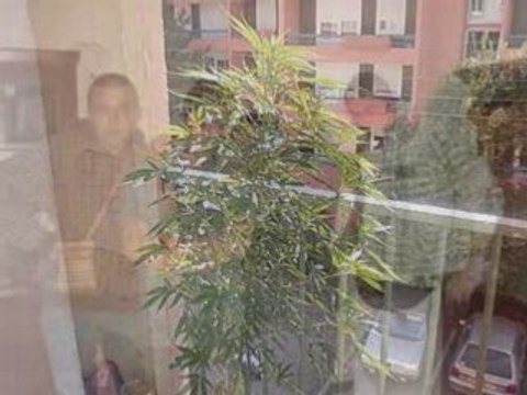 Cross 250 yzf 30sang