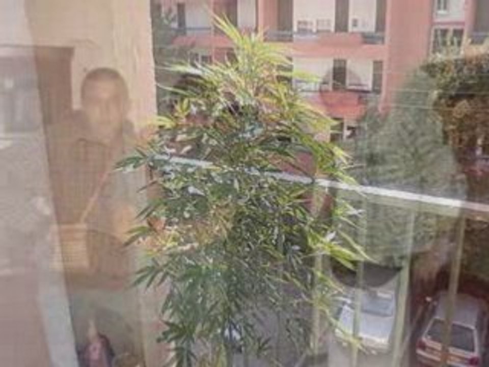 Cross 250 yzf 30sang