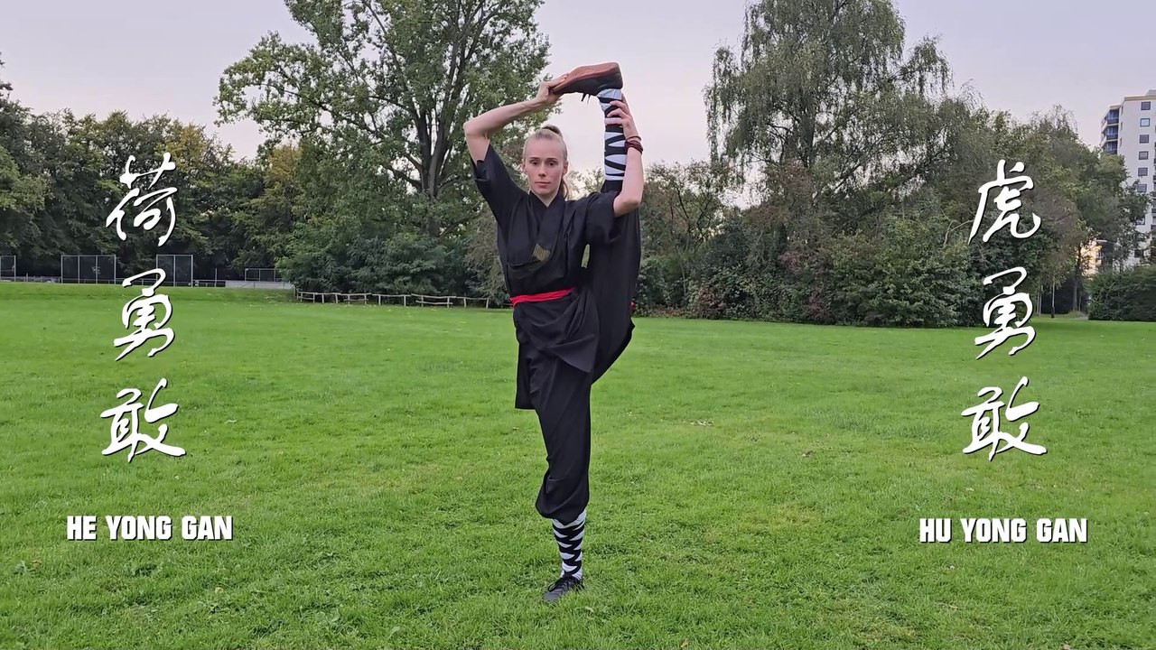 He Yong Gan Martial Arts 示範影片 Shaolin Kungfu Demonstration