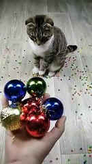 Beads  Reverse Video