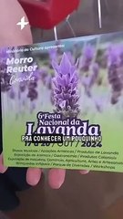 6ª Festa Nacional da Lavanda está chegando