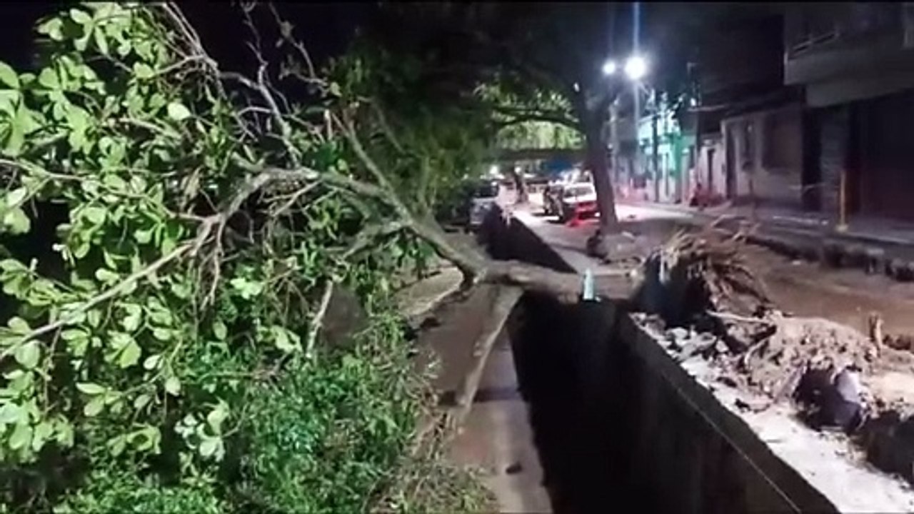 Árvore cai na orla da Ribeira e assusta moradores