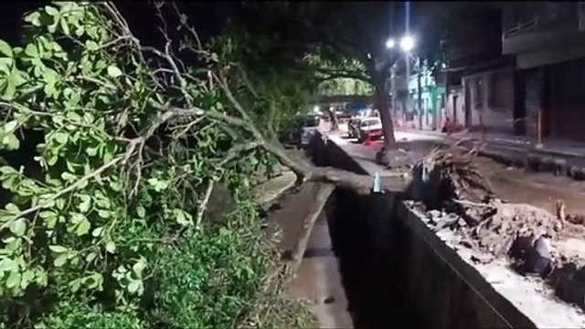 Árvore cai na orla da Ribeira e assusta moradores