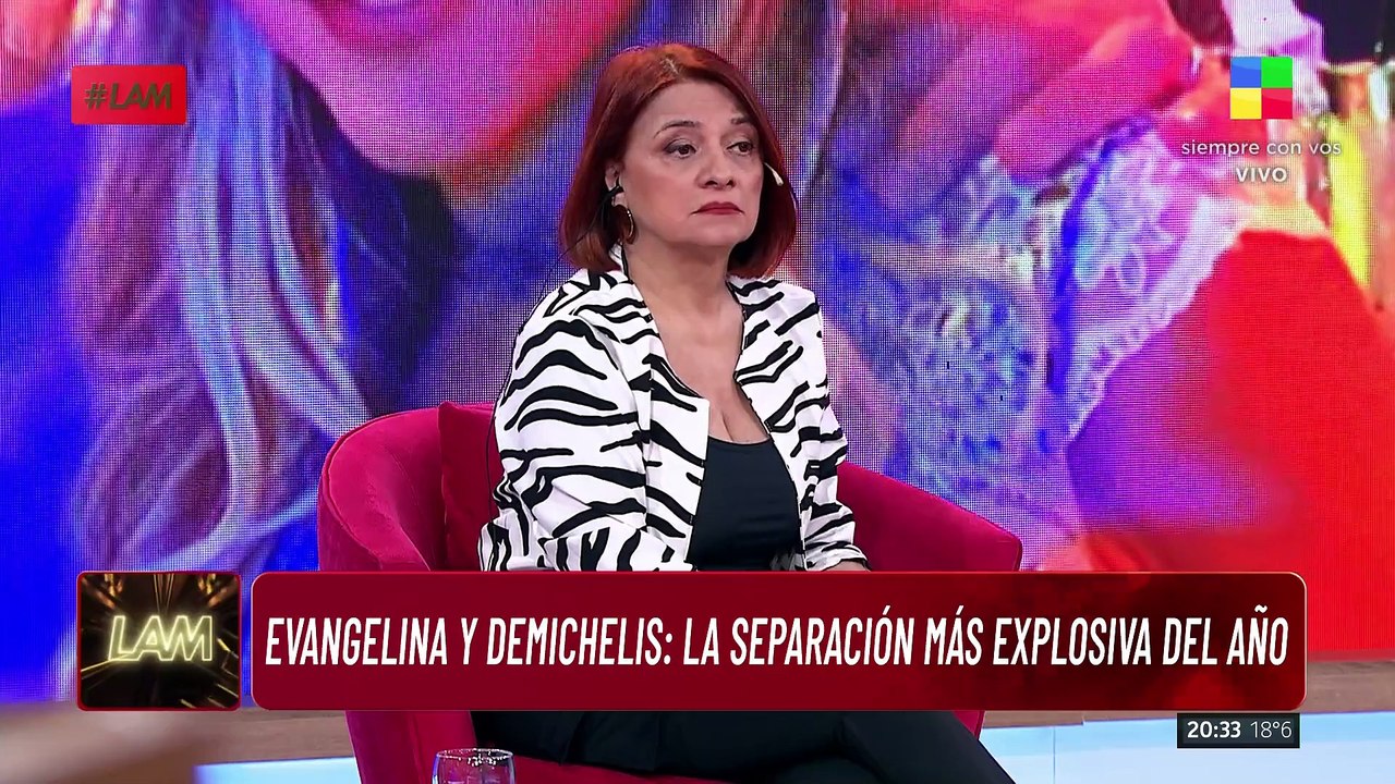  Detalles EXCLUSIVOS de la SEPARACIÓN DEL AÑO: Evangelina Anderson y Martín Demichelis