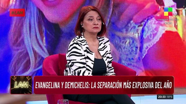 Detalles EXCLUSIVOS de la SEPARACIÓN DEL AÑO: Evangelina Anderson y Martín Demichelis