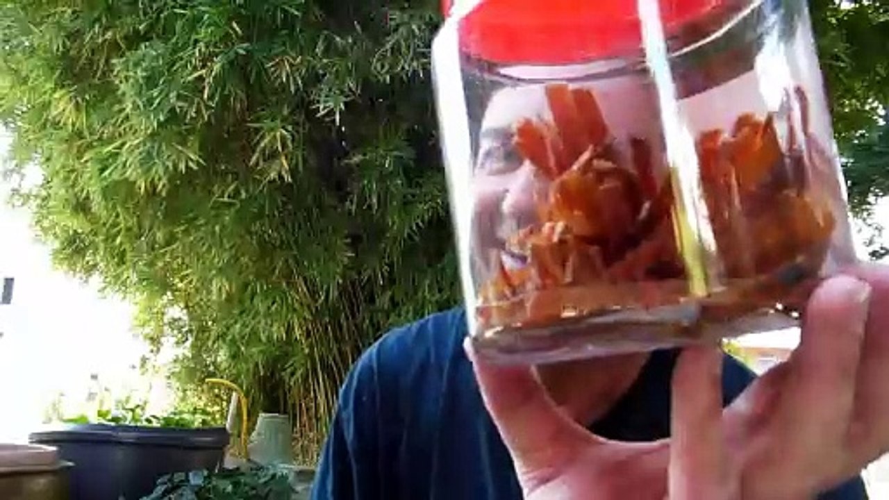 Squid & Fish Snacks in Japan!