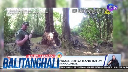 Video herunterladen: Nasa 100 raccoon, pumalibot sa isang bahay; residente, hindi na makalabas | Balitanghali