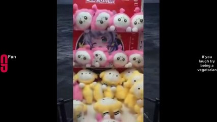 Best Funny Videos Compilation