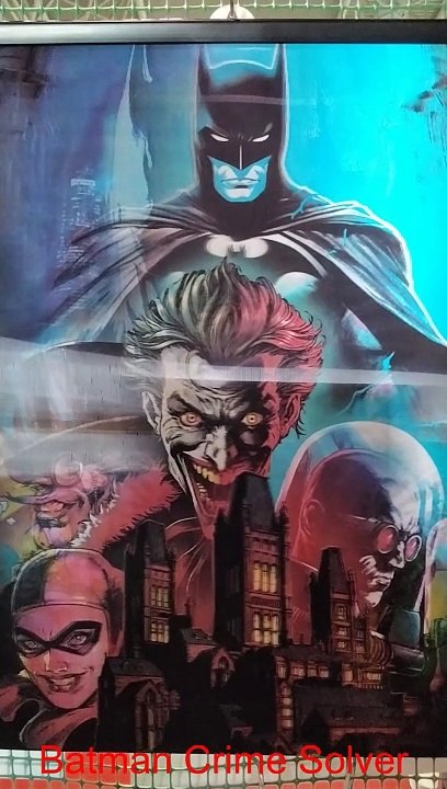 Batman, villain e il suo mondo - Poster 3 D