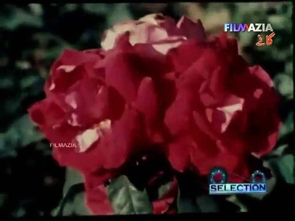 Tera Mera Mera Tera Sath Rahay - Shabnam & Nadeem - Pakistani Film Badaltay Mosam (1980) Mehnaz & Ghulam Abbas