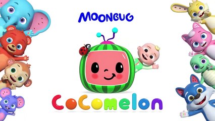 Rocket Coaster _ NEW  CoComelon Animal Time _ Animals for Kids