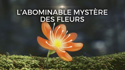 L'abominable mystère des fleurs