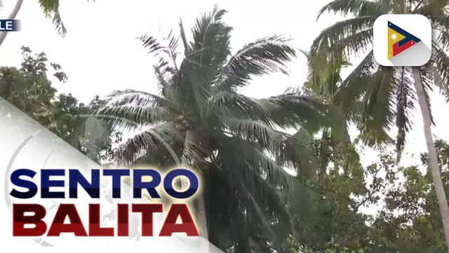 DAR, makikipagtulungan sa PCA para sa pagpapabuti ng pamumuhay ng 3-K coconut-based Agrarian Reform Beneficiaries
