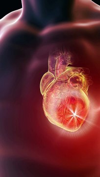 Minutes Mastery a bite-sized learning series | Vol 1 Ep 53 Grey Rhino | Rajan Arora, Triumph through Training Pvt. Ltd. (3T)