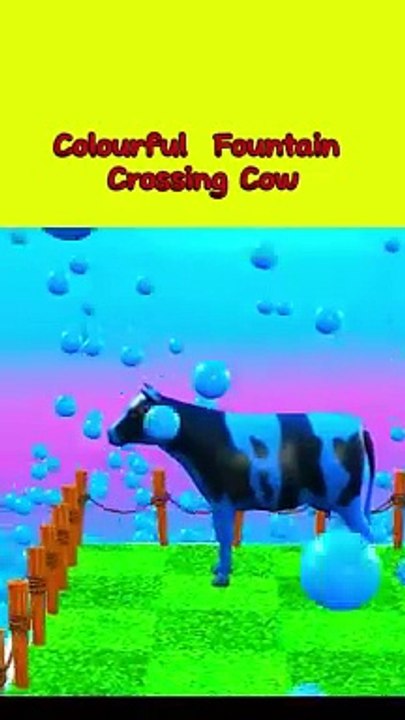 Colourful Fountain cross cow