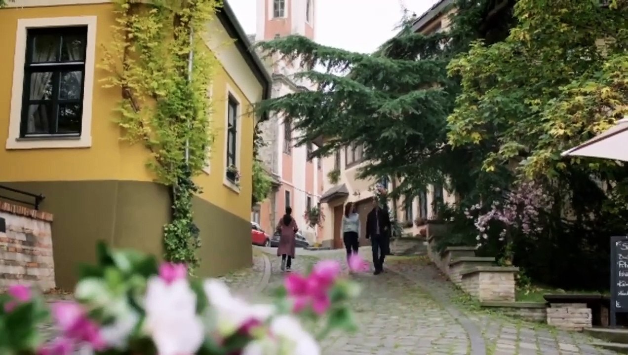 Nature of Love 2024 - Hallmark Movies 2024 - christmas hallmark movie 2024 - New Hallmark Romance