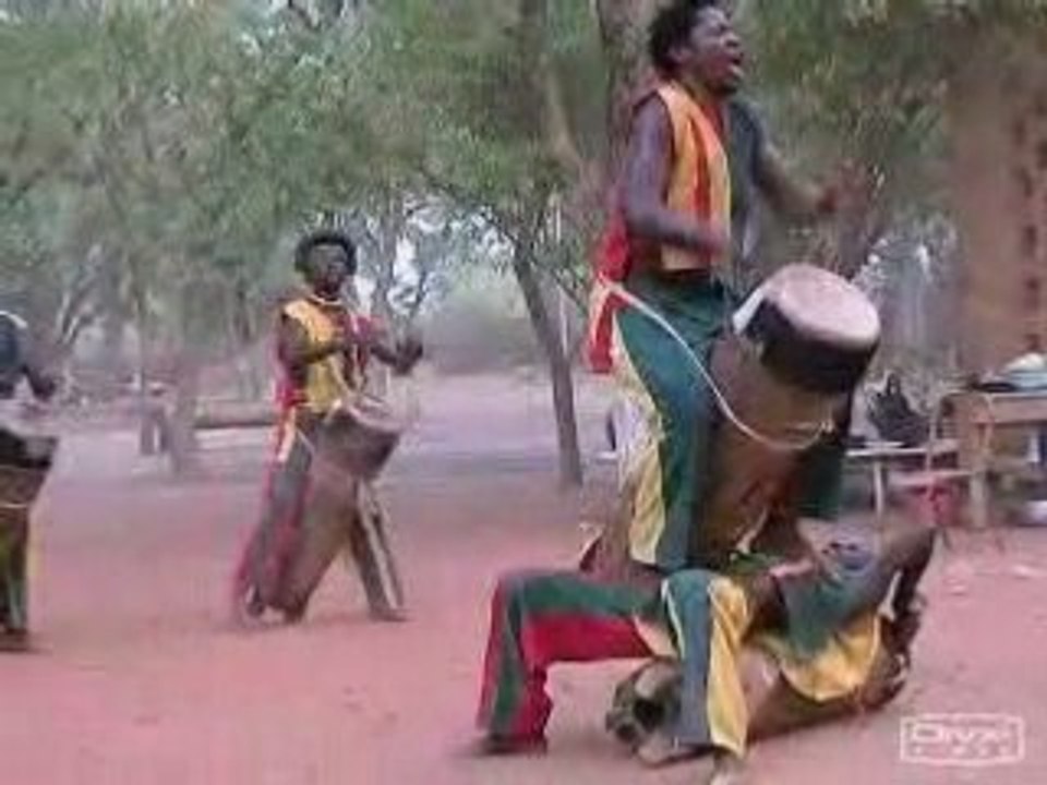 Bongo ! Bongo !