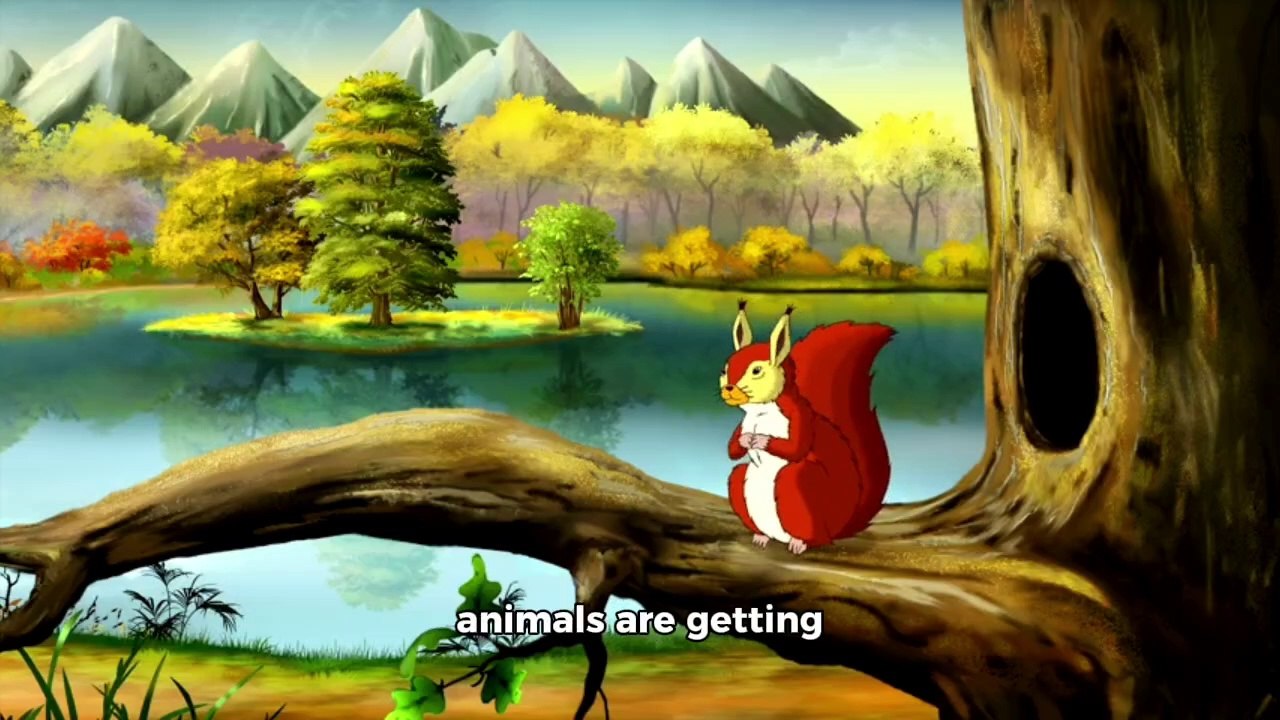 A Day in the Forest