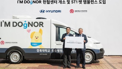[기업] 현대차, 경북대와 반려견 헌혈센터 개소 / YTN