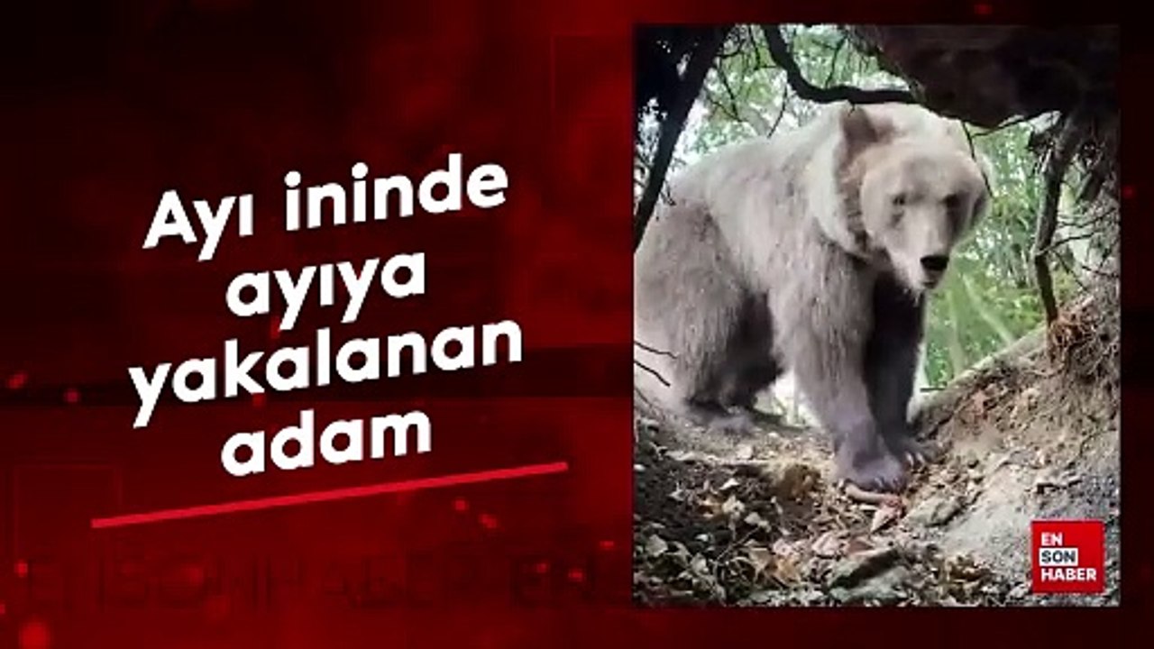Ayı ininde ayıya yakalanan adam