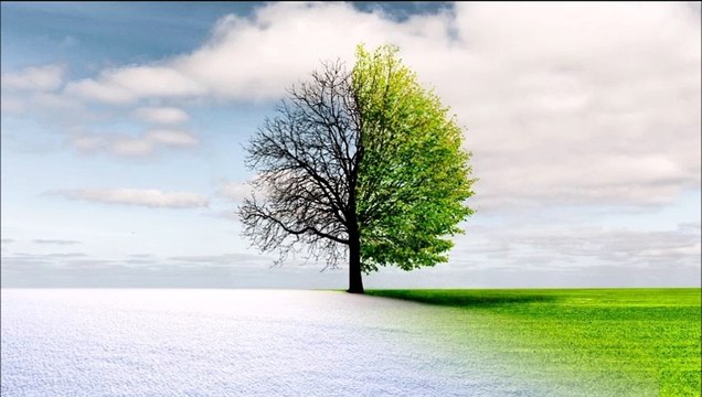 accepting change quotes