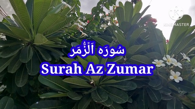 Surah Az Zumar - Tilawat Az Zumar - Tilawat e Quran pak - quran recitation - learn quran -