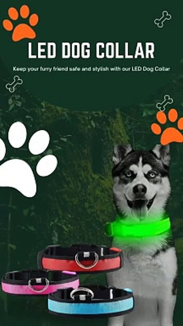 ⁣LED Pet Collar - Pet n Care