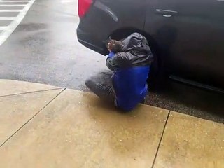 Jornalistas resgatam gato durante o Furacão Milton