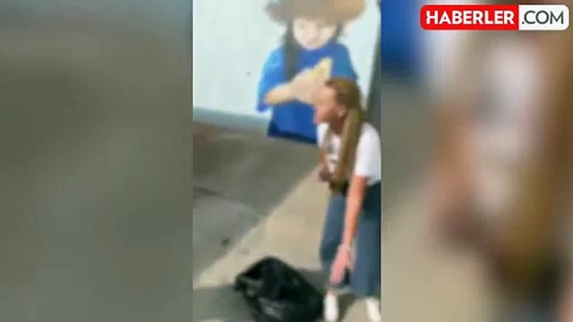 SON DAKİKA: Gebze Belediyesi'nde neler oluyor? Sokak hayvanları öldürüldü mü? #GebzedeKatliamVar