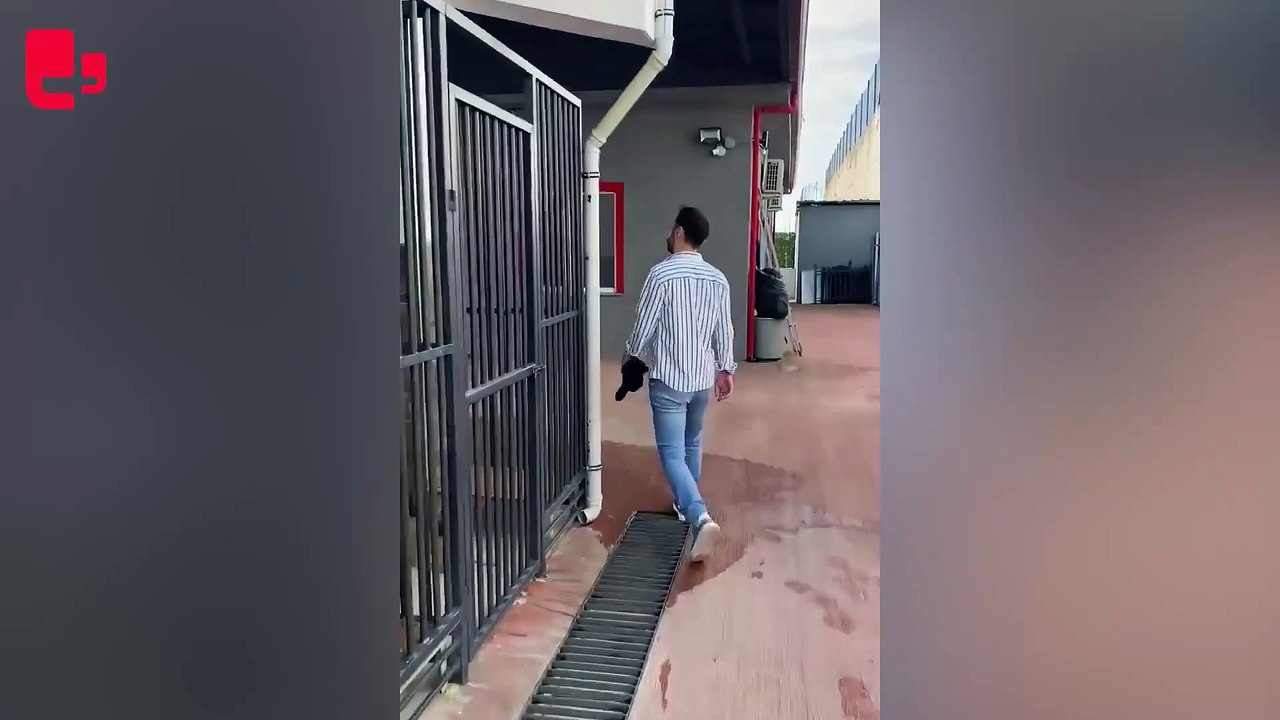 AKP'li Gebze Belediyesi'nde hayvan katliamı: Katledilmiş onlarca köpek ve kedi, çöp poşetlerinde bulundu