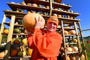 Lower Drayton Farm, Penkridge, is all set for the pumpkin season