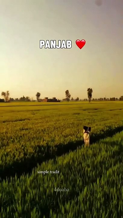 Punjab ❤