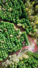 Explore Old Bob's Trail: Stunning Aerial Footage of the Forest of Dean 🚴‍♂️