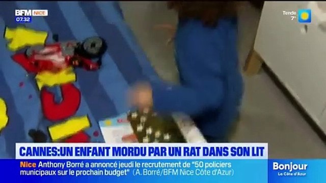 Cannes - Un enfant de 3 ans mordu au cou, au nez et au-dessus de l'œil par un rat pendant son sommeil : Ca aurait pu être dramatique - VIDEO