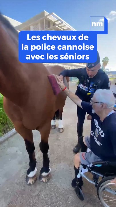 Les seniors d’une maison de retraite rencontre les chevaux de la police cannoise