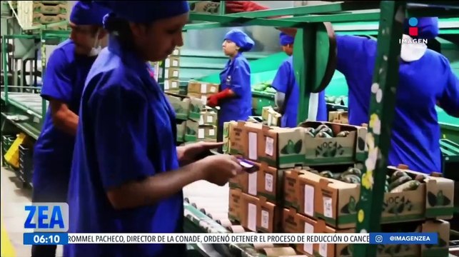 Banxico prevé que se seguirán con los recortes a la tasa de interés