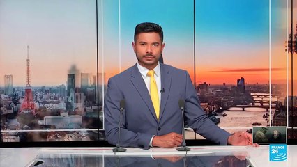 Los bosques de Ucrania, víctimas de la guerra rusa