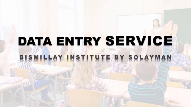 Data entry jobs freelancing-Data entry work in excel-Data entry virtual assistant by solayman