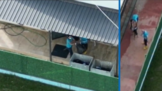 Gebze’deki hayvan katliamının görüntüleri ortaya çıktı