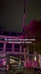 Troyes se pare de rose