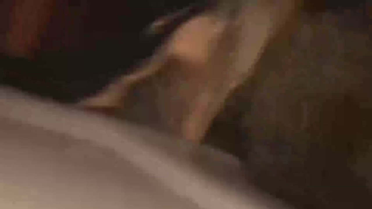 Alligator strikes people in wild attack after Milton’s floods